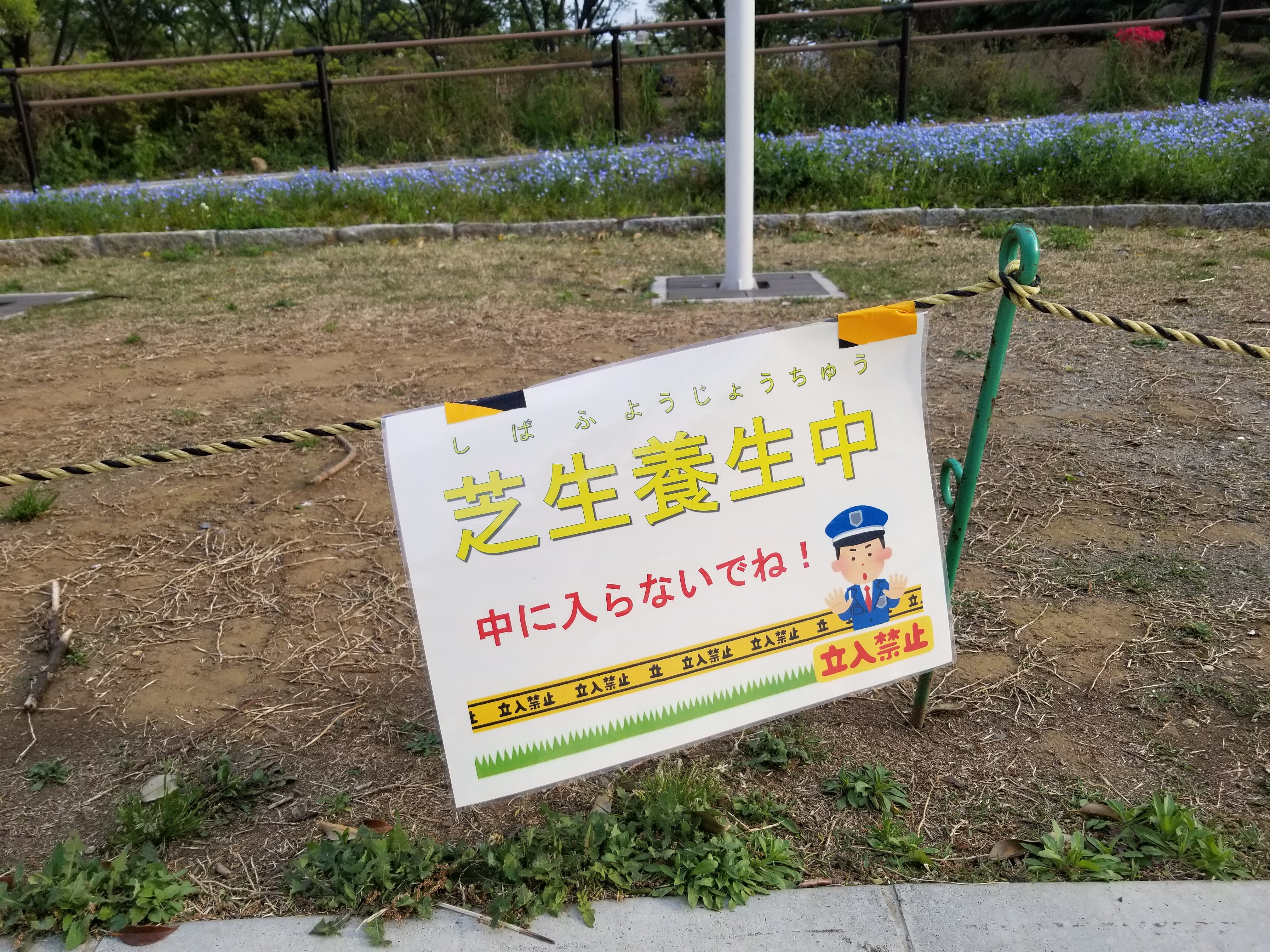 三浦靖雄 登録467号は駒沢公園の芝生養生中につき立ち入り禁止の札 この時は西口のジャブジャブ池付近の芝生で発見 立入禁止 イラスト文字 立入禁止テープ 芝生のライン素材 という３素材を組み合わせた技巧派 いすとやマッピング いらすとや