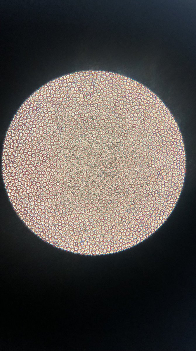 Day 2/7 my life in pictures... No words... No people