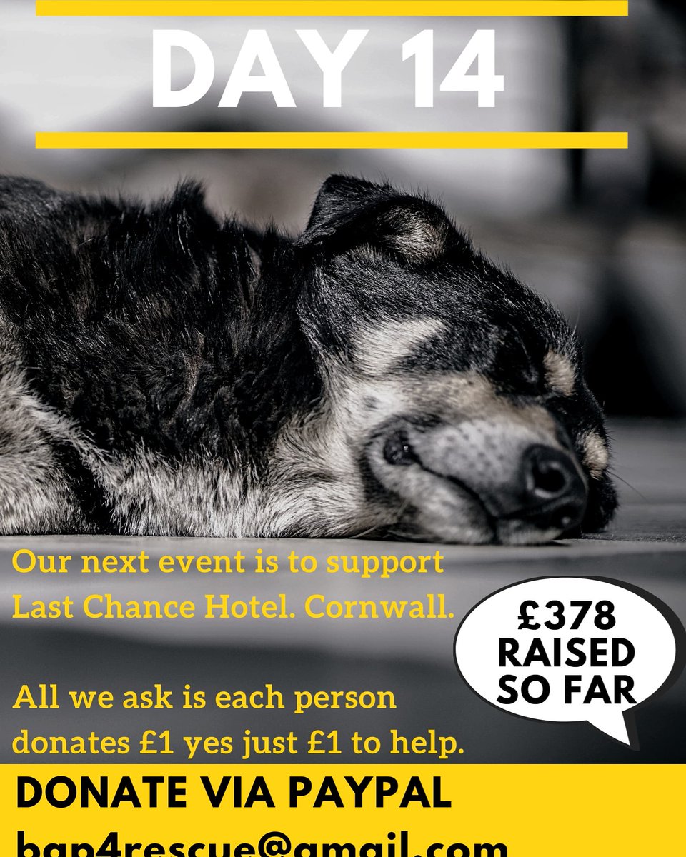 Bring A Pound For Rescues tweet media