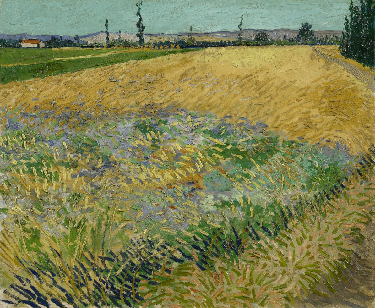 📝 ‘Isn’t it the emotion, the sincerity of our feeling for nature, that leads us and – if these emotions are sometimes so strong that we work – without feeling that we’re working’, wrote Vincent to his brother Theo in 1888. Nowadays, we call what Vincent writes about ‘flow’. 🌱