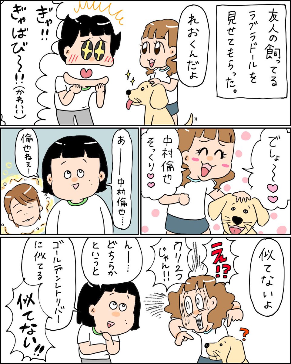 うちの犬に限っては、本当に本当なのよ。(全飼い主が言うセリフ) 