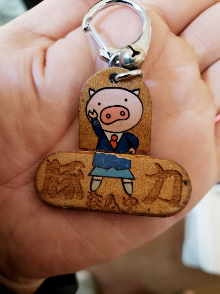 今日は野ブタの日だからみんな用事は早めに済ませて22時にはテレビの前