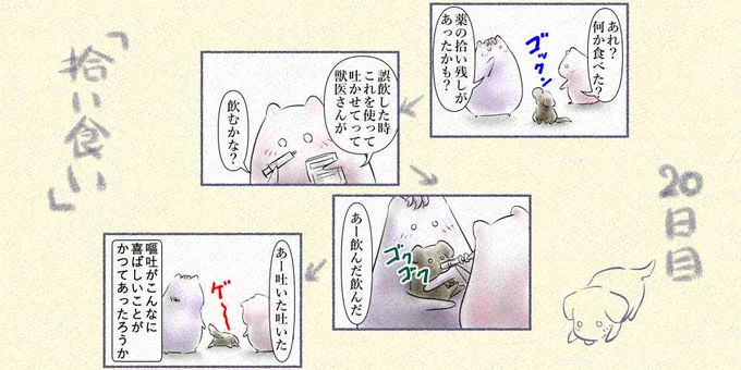 20日目 うちのワンコとの思い出 ー拾い食いー
#4コマ #4コマ漫画 #わんこ 