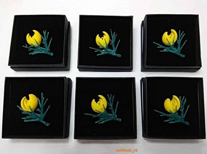 Ailolailo64's tweet photo. @nadjanf @nabia69 @OrgulloGalegoGz @imprimetresde_ E logo estes broches !!!! 😍😍😍
#chorima #maio @imprimetresde_ https://t.co/jhllIACwGh