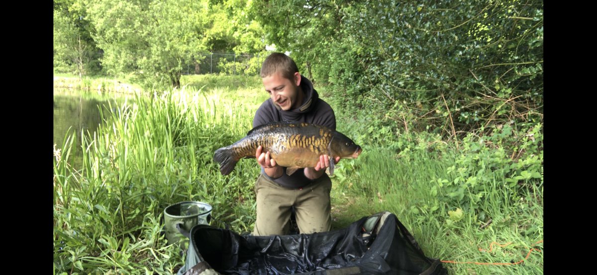 Dannymarf's tweet photo. Look at this beauty!! Stunning colours even better scale pattern and I’m more than happy to have had it over my net cord 😎🎣 #carp #fishing #freedom https://t.co/OqnlBOkTVv
