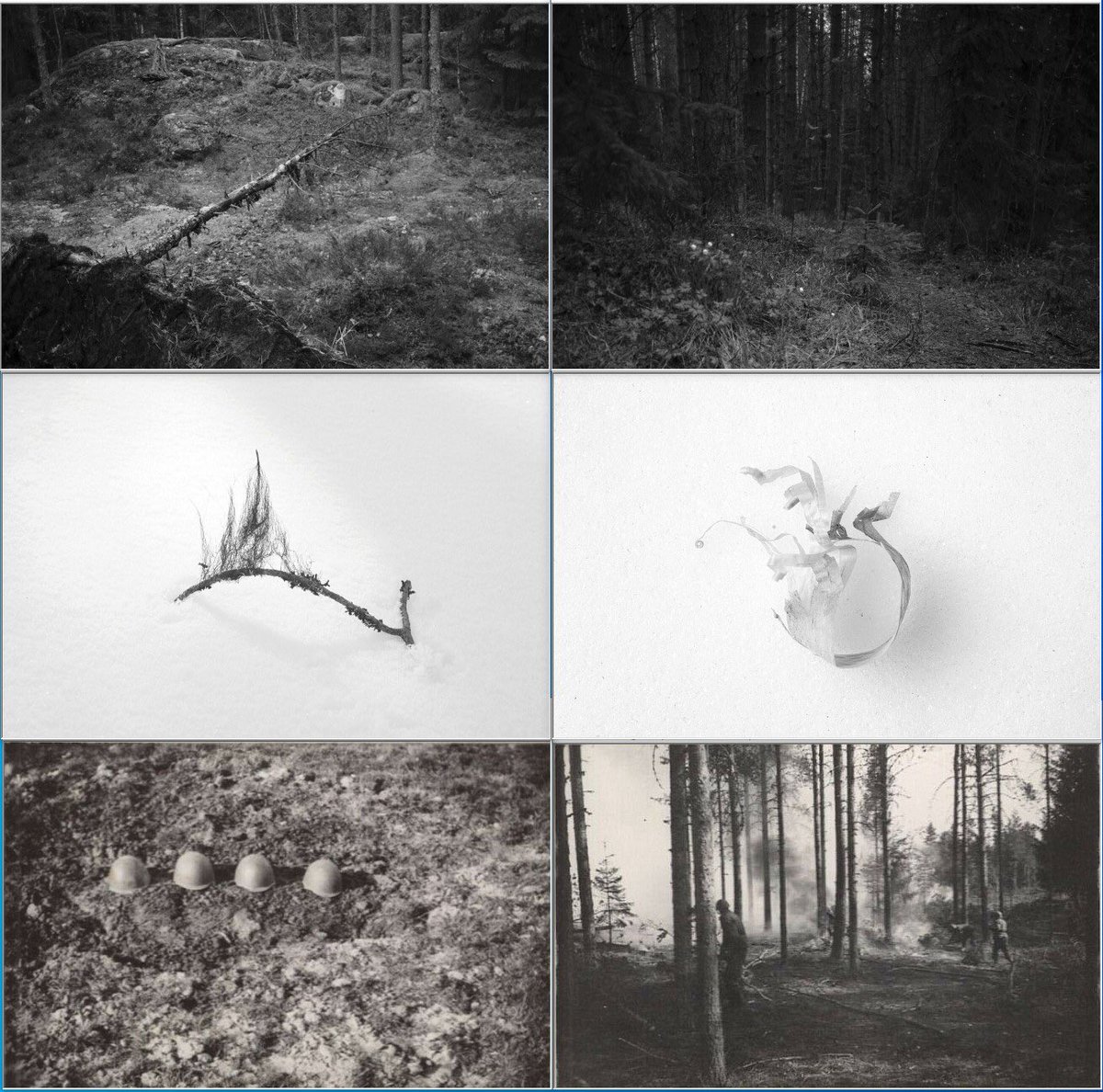 Rich Cutler tweet media