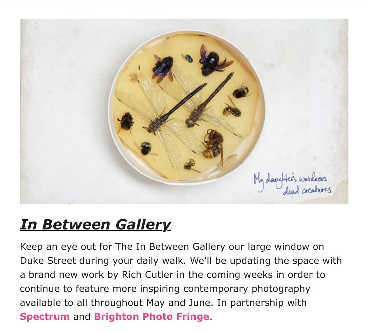 Rich Cutler tweet media