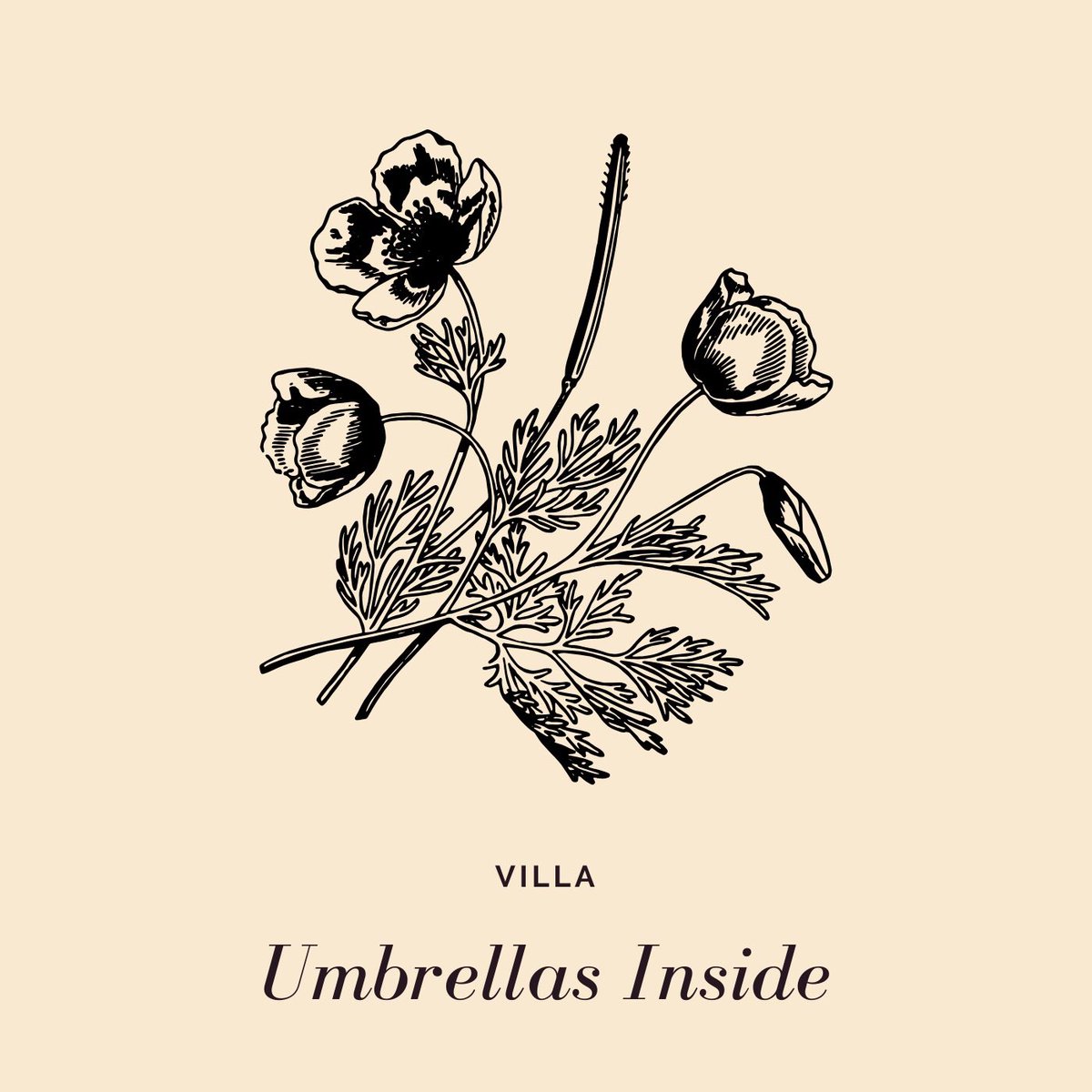 PalmettoCollect's tweet photo. Please check out my new band @villabandnc https://t.co/lLtLDvd2YP https://t.co/NJ6N908JMb