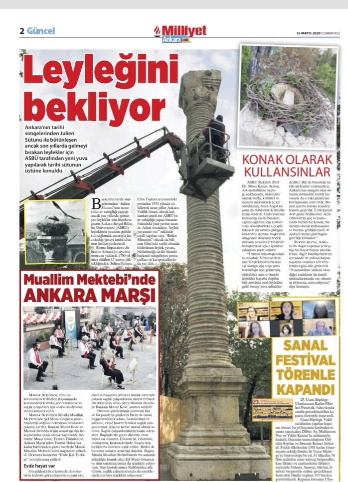 2/2 #16Mayıs tarihli ulusal yazılı basından yaban hayatı içerikli haberlerden kesitler. #Leylek #Stork #CiconiaCiconia #JulienSütunu