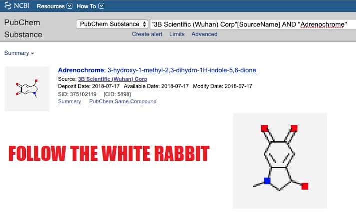 5. #QAnonJust in case you didn't get the white rabbit reference. 