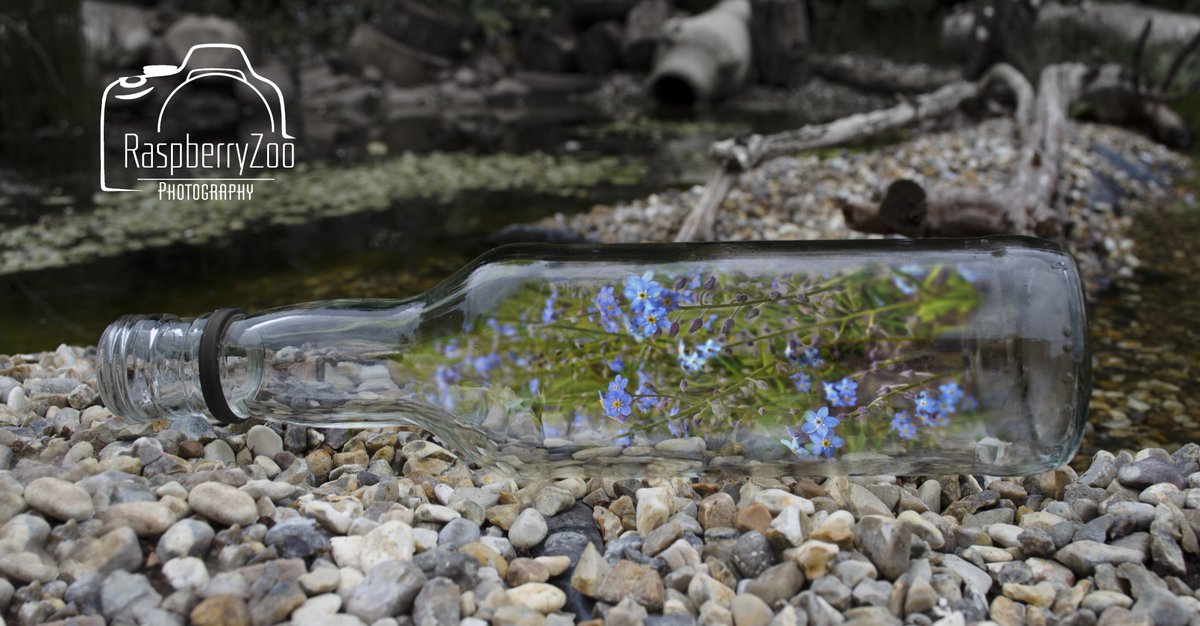 Message in a bottle 'Forget Me Knots' in memory of those lost, and for whilst we are all apart, from 
RaspberryZoo Photography
#forgetmeknots #nhs #coronavirus #Corvid19