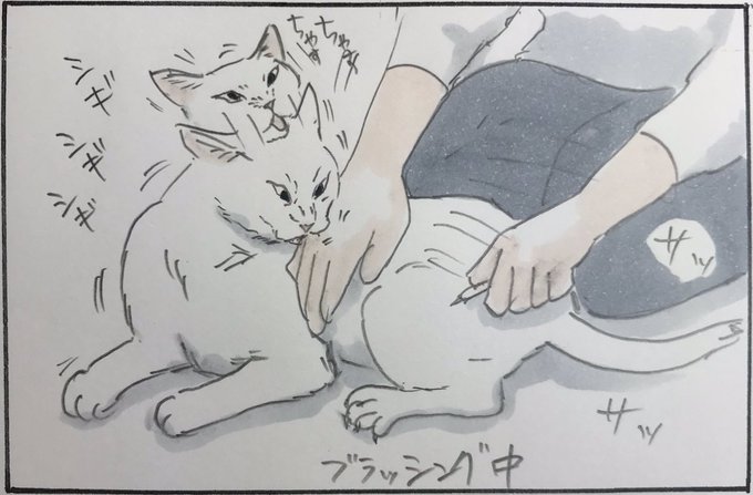 『噛むしかなかった』 