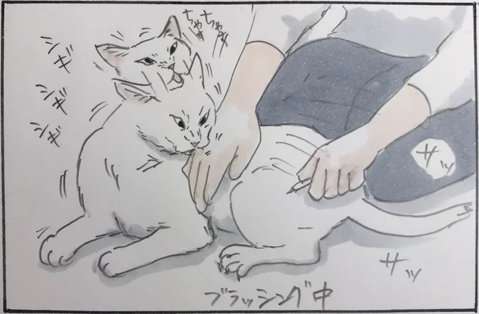 『噛むしかなかった』 