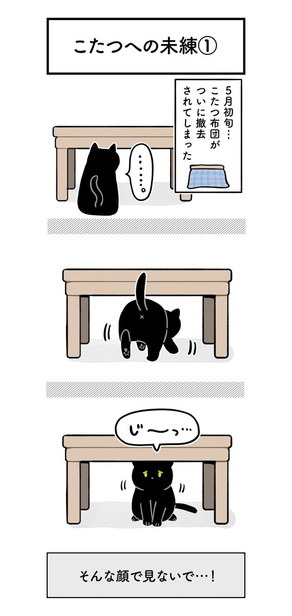 黒猫のろんさん こたつ撤去により最高のお昼寝スポットを失ってしょんぼり こたつ布団は7月位まで片付けさせてもらえませんでした Togetter