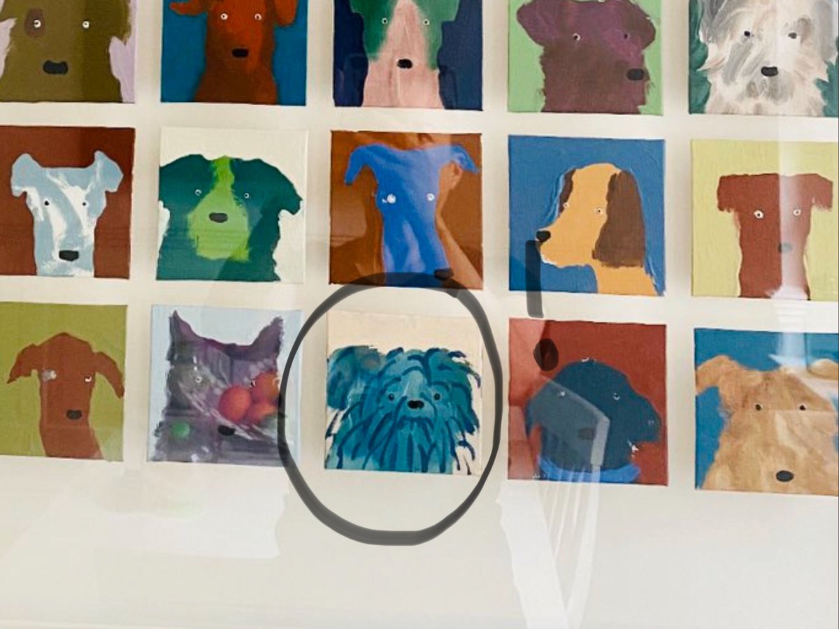 <a href="/JaneFallon/">Jane Fallon</a> <a href="/hollyfrean/">Holly Frean</a> I mean, him! I could have just a pic of this one 😍😘it’s like your spirit dog 🤣