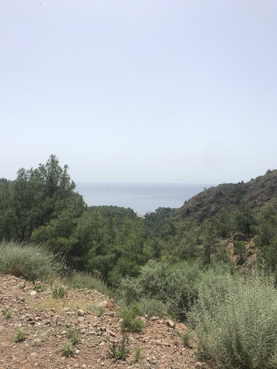 DatcaHuzur's tweet photo. Datçalılık testi bu bakir koyumuzun ismi nedir ?
Sertifikanızı @datcabelediyesi nden alabilirsiniz. https://t.co/RsA1P9R2Lm