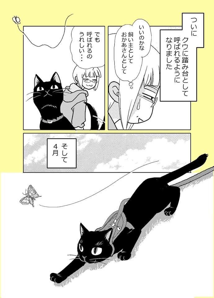 【ねこはねこかぶり】
第10話 木登りねこ(2/2)

お母さんの役目

#ねこはねこかぶり
#黒猫クウ 