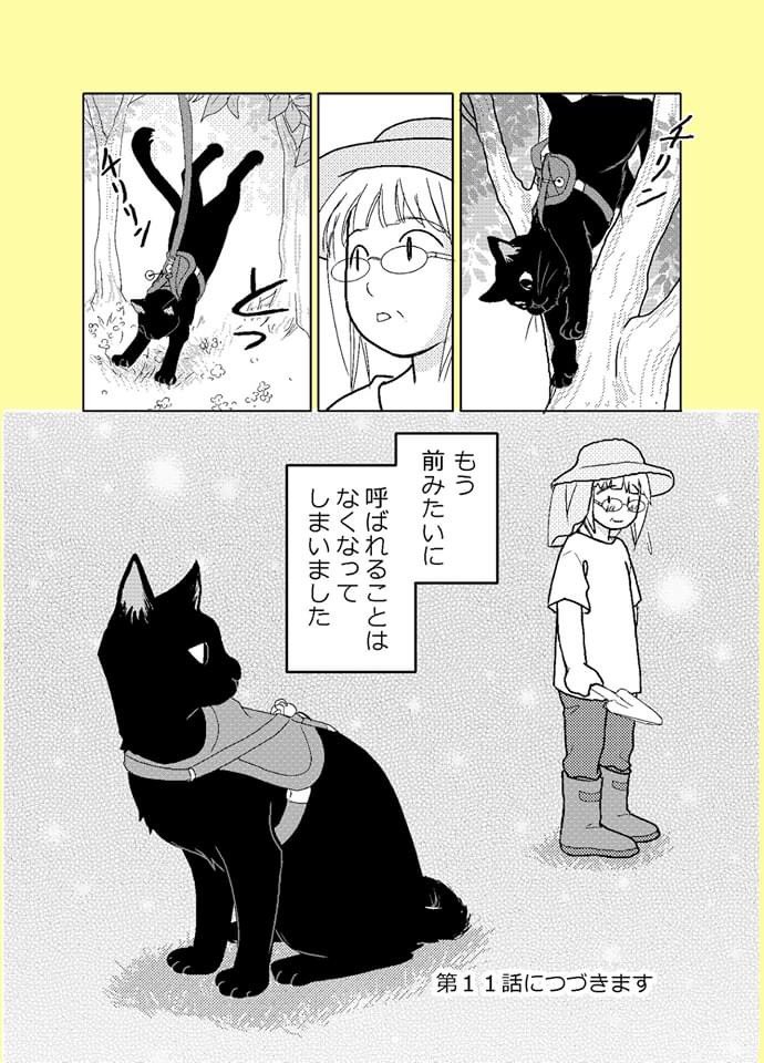 【ねこはねこかぶり】
第10話 木登りねこ(2/2)

お母さんの役目

#ねこはねこかぶり
#黒猫クウ 