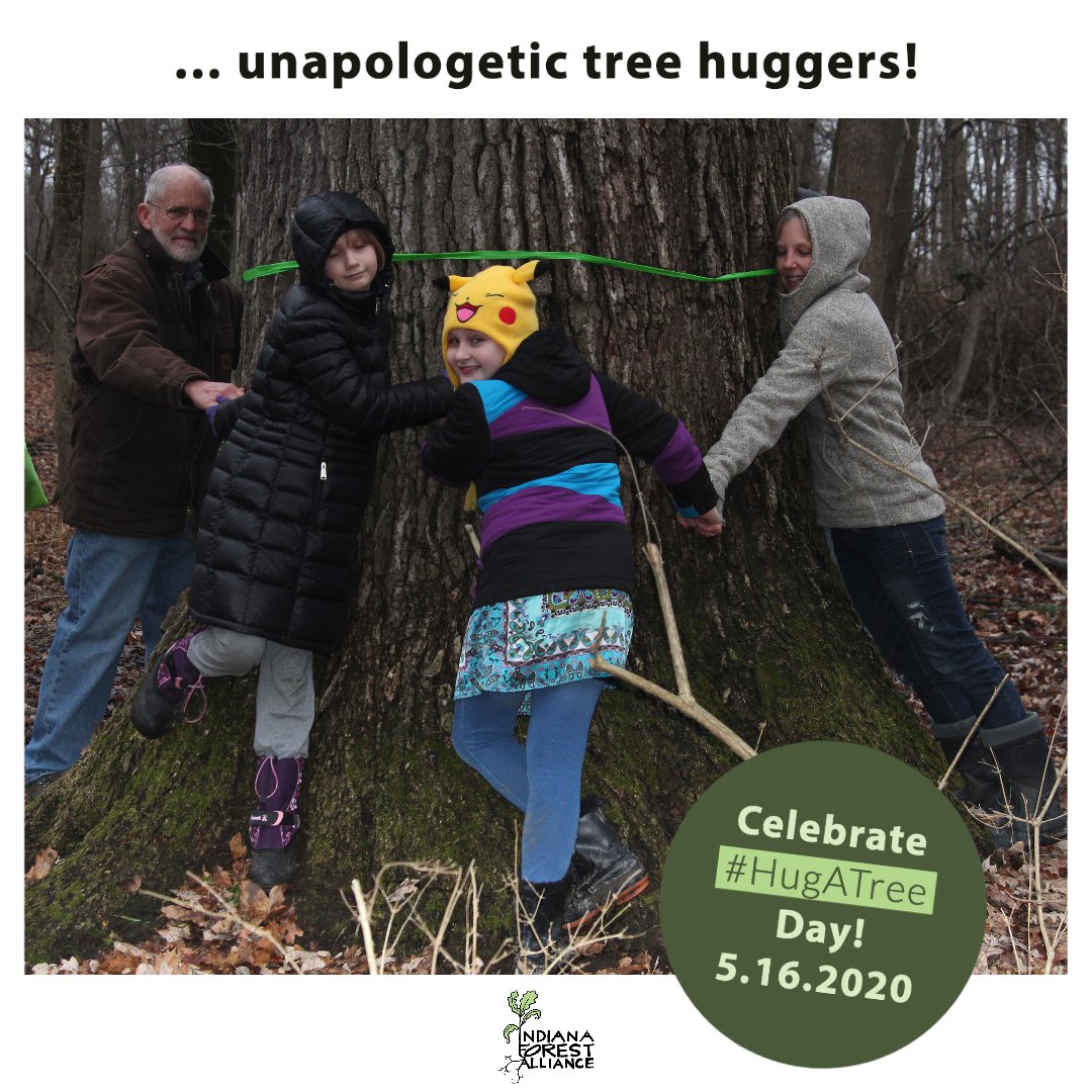 INforests's tweet photo. Today is National Hug a Tree Day. Post your tree-hugger pic, tag IFA at @INforests and tell us why you love trees! And remember, it's always safe to hug a tree (as long as no poison ivy vines are climbing the trunk)!
#SaveMoreTrees #HugATree https://t.co/uJbNLi2Jmw