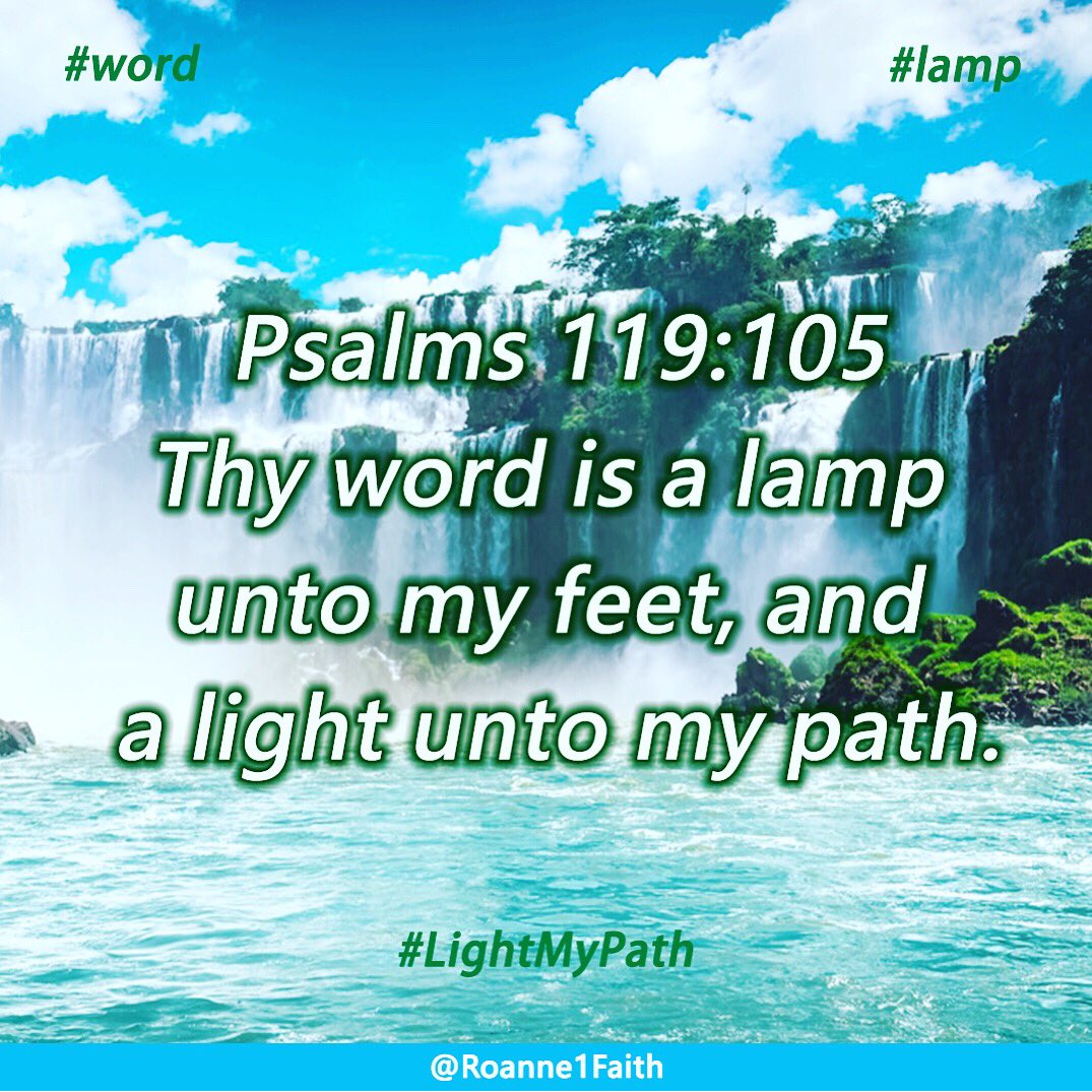 ServandoAnne's tweet photo. Bring light into your path

#word #light #lightmypath #wordofgod #words #christian #christianlife https://t.co/13lpaFqAuk