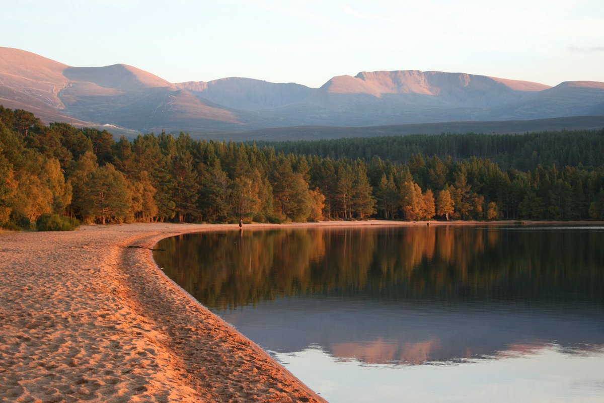 ZooStephen's tweet photo. Today's #StayHomeSaveLives virtual visit in Scotland 🏴󠁧󠁢󠁳󠁣󠁴󠁿 @VisitScotland is a summer sunset at Loch Morlich in @VisitCairngrms 
Look forward to revisiting when conditions allow https://t.co/br0LOII7qn