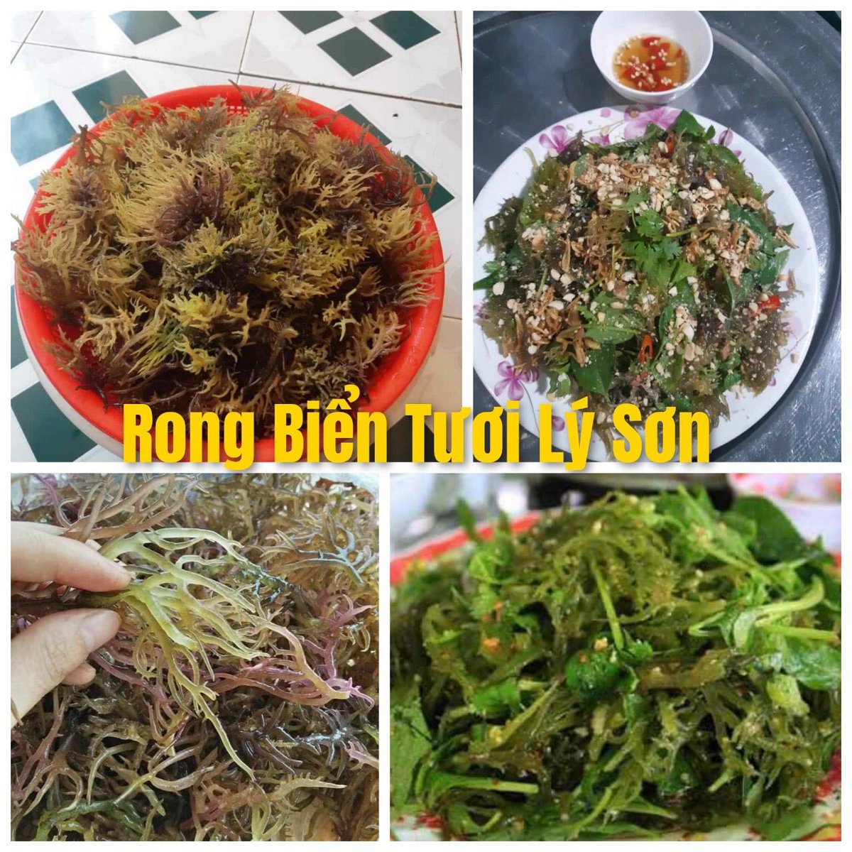 Món này dùng mùa nóng hết sẩy bà bẩy.