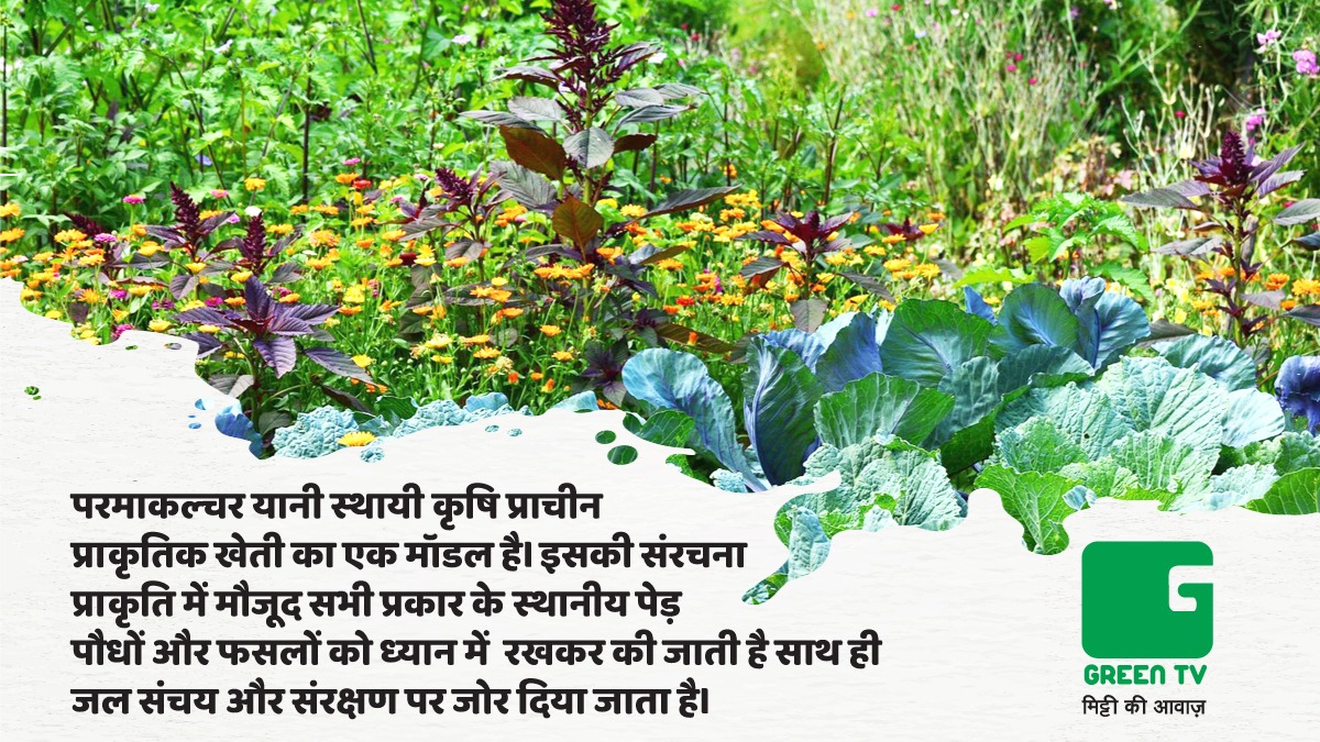 GreenTV_India's tweet photo. #GreenGyan
Permaculture is a set of design principles centered on whole systems thinking, simulating, or directly utilizing the patterns and resilient features observed in natural ecosystems.
#BasicAgriLearnings #GreenTV #AgriLearnings #BasicAgriculture https://t.co/XK4JlIm8SQ