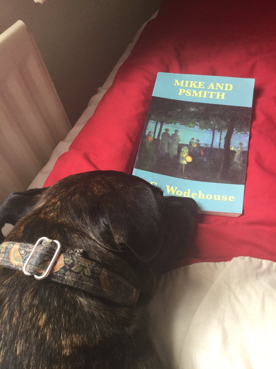 Archiethestaffy's tweet photo. @PottsAndPlum @BertieRace Splendid! Thanks for the heads up old thing! Look what I found for mater on your recommendation, what! Xxx https://t.co/hTsuEg4OAD