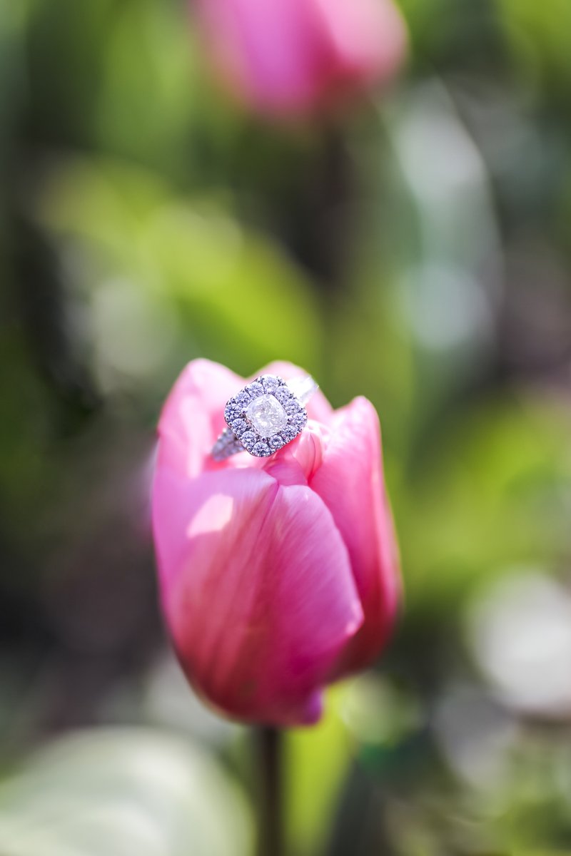 'If I had a flower for every time I thought of you...I could walk through my garden forever'
#weddingphotography #weddings #bride #bridetobe #gettingmarried #ido #engagementshoot #isaidyes #engagementphotography #weddingseason #proposal #weddinginspiration #imengaged #photography