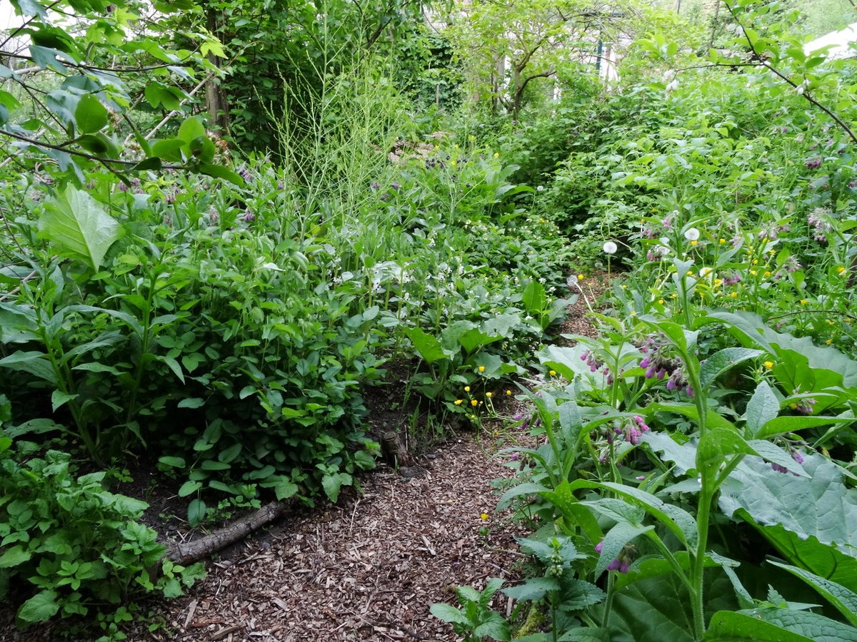 Wilde Weelde tweet media