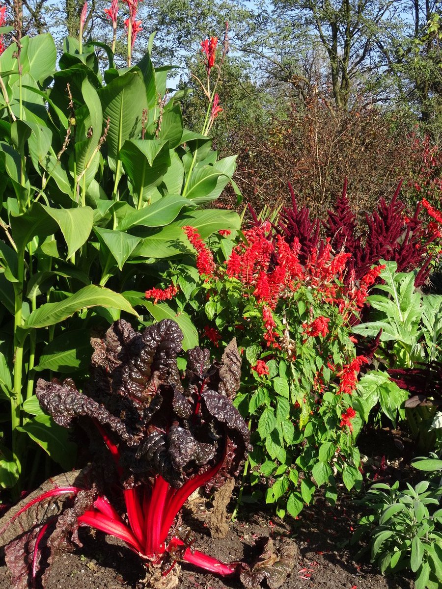 De nieuwsbrief van mei is uit. Het gaat over eten voor mens en dier. Veel leesplezier!
wildeweelde.nl/nieuwsbrief-me…