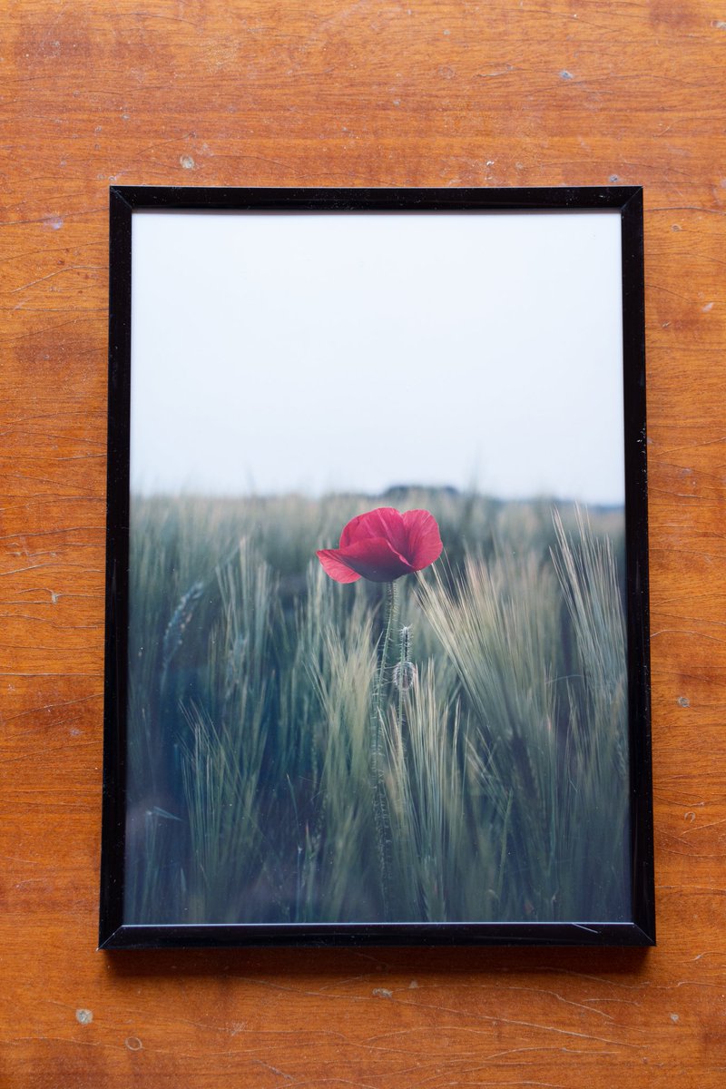 shotgundzim's tweet photo. ima i ovih forica ko voli 🤠
#photography #printedphoto #frame #roninoneshot https://t.co/kYpLlzcGTO