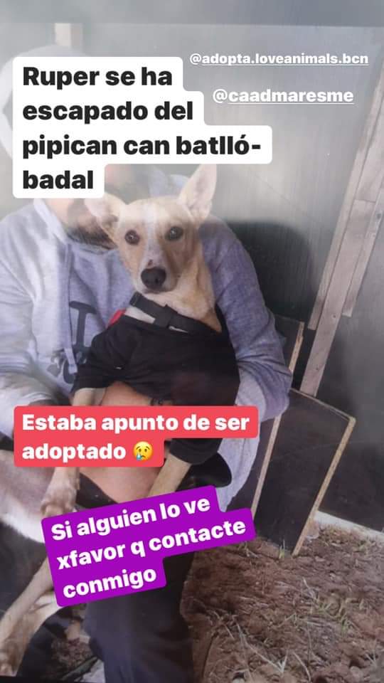 Xavi Kastro tweet media
