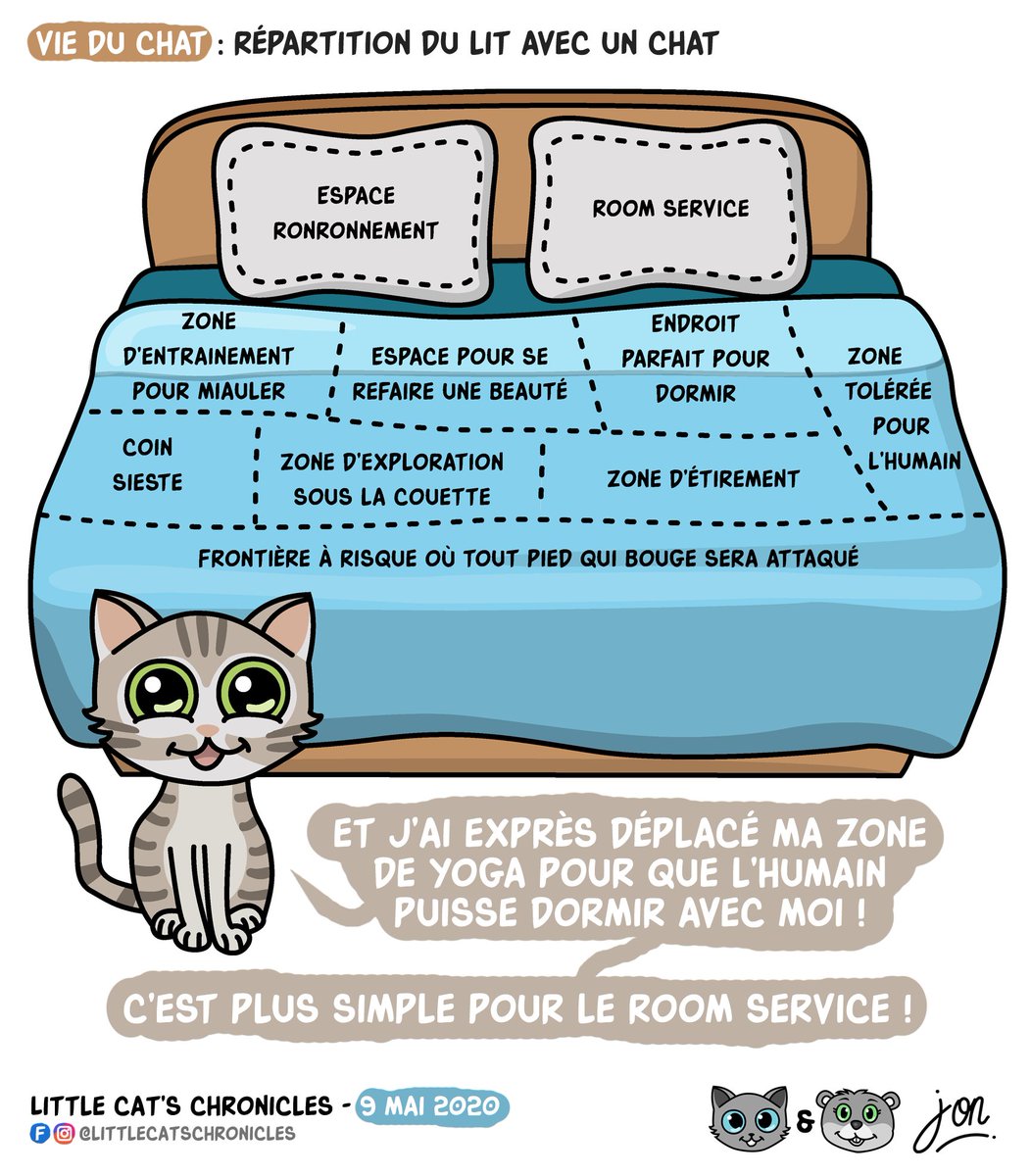 Little Cat S Chronicles Littlecatschron Twitter