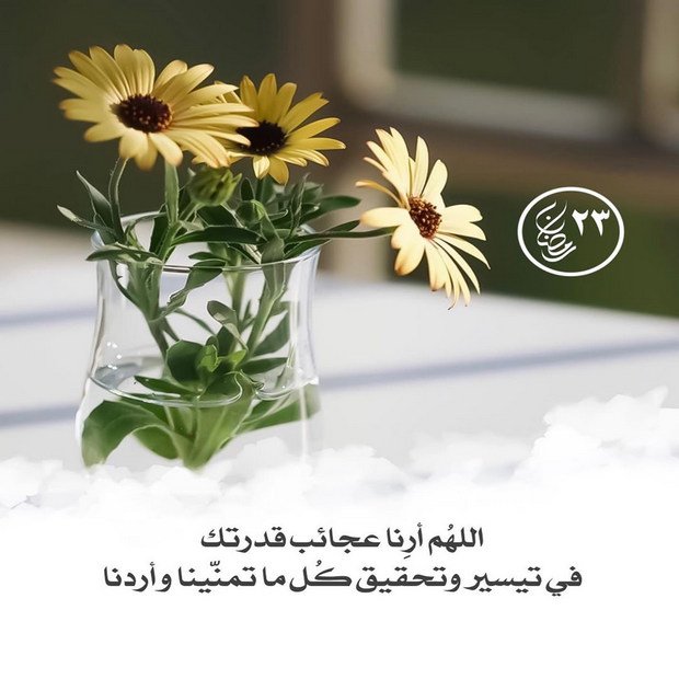 #رمضان 23
اللّهم آرزقني رزق لم أتوقعه ، وخير لم أفكر به ، وتحقيق أمنيات ظننت يوما أنها مستحيلة ، وإستجابة دعوات أكررها دائما .. ربي وفقني ، سخّر لي ، بشرني ، أرح بالي وقلبي ، أسعدني ، آعفو عني ، إرحمني ، قر عيني ، أرض عني ، هب لي ما أتمنى وما أريد يا ذا الجلال والإكرام يارب🙏