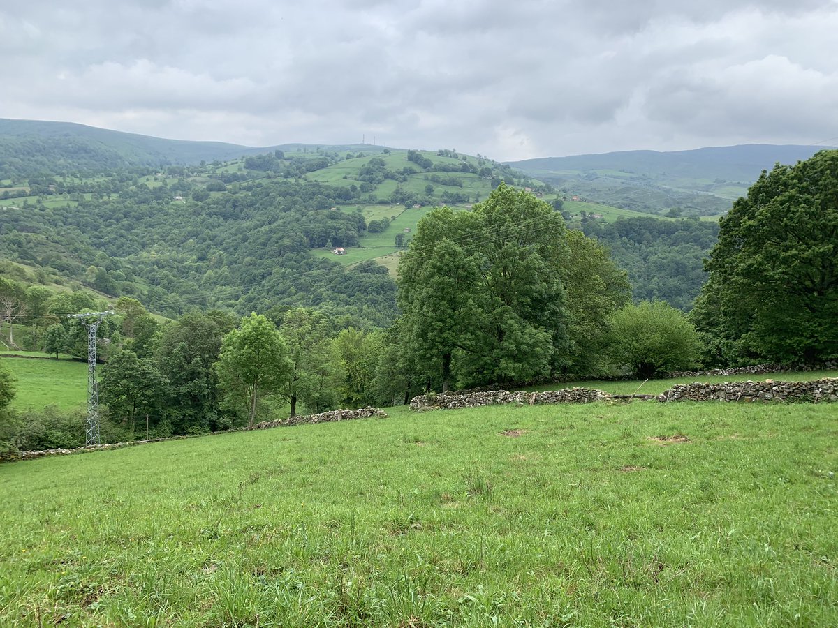 Por fin, más de dos meses después #Resconorio #Luena #Cantabria