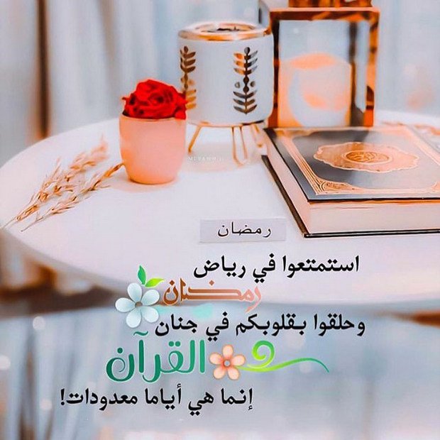 #رمضان 23
" دقائقُك المعدودة التي تقلّب فيها صفحات
القرآن، هي دقائق اصطفاها الله لك؛ ستُحيي بها قلّبك، وتُذهب بها همك، وتُسعد بها وقتك.. لا تُهملها💕