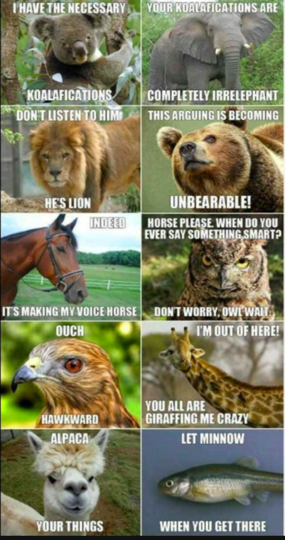 <a href="/kayenini/">Kaylyne Grant</a> <a href="/PaprikaLady/">Paprika Lady</a> 214. Descartes walked into a bar &amp; ordered a beer.
“Want another?” asked the bartender.
“I think not,” #Descartes replied. Then he disappeared.

215. Trained my dog Rex to fetch me beer; it may not sound too impressive, but he gets them from our neighbour's refrigerator !

#Jokes