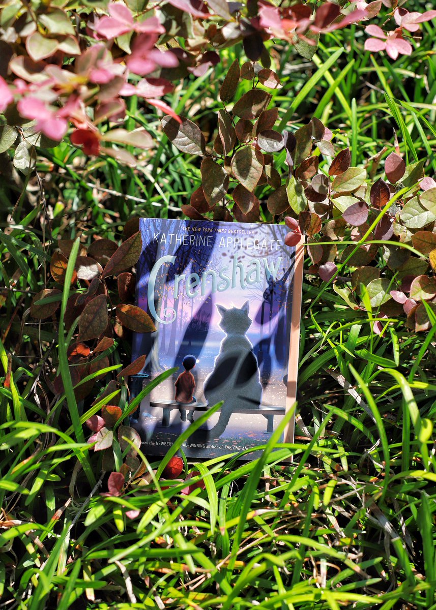 Giveaway! ☂️🐱🛹 I'd love to send this signed copy of #Crenshaw to a nightstand in need of a story. To enter, follow my account and RT this tweet. I'll choose a winner at random and notify them directly. Ends tomorrow, 5/17, at 2 PM PT. #mglit