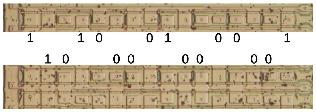 kenshirriff's tweet image. Forty years ago, Intel announced the 8087 math coprocessor, speeding up floating-point operations on the IBM PC. Under a microscope, constants such as π and ln(2) are visible in the ROM. CORDIC algorithms for fast transcendental ops used other constants.
righto.com/2020/05/extrac…