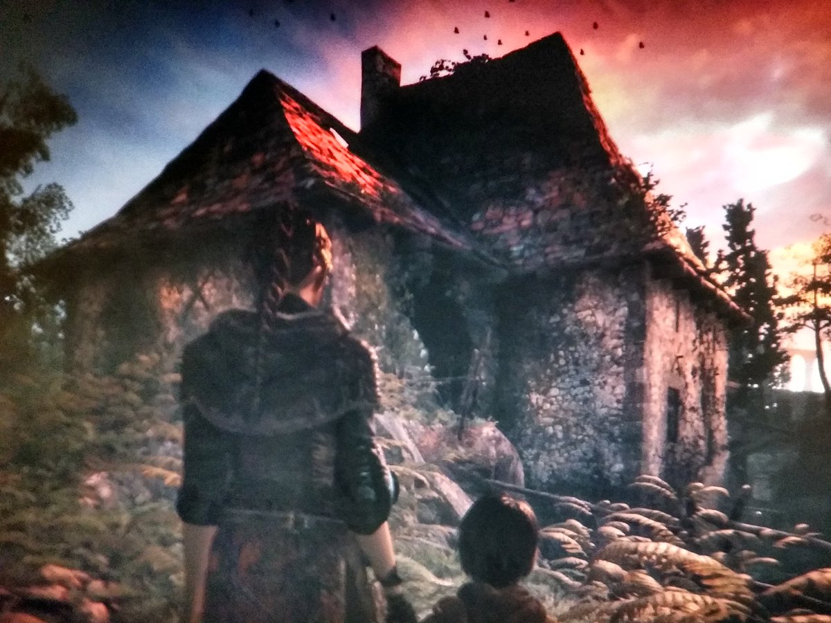 Cleiton Silva tweet media