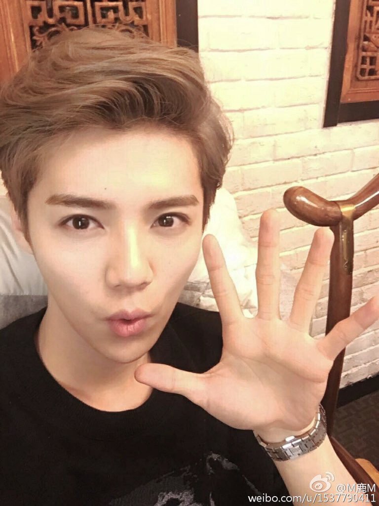 LUHAN ; Lu Han ( ex membre )Vocal, mannequin, acteur, danse Né le 20 avril 1990 Il a été repéré par un représentant de la SM en 2010 alors qu'il étudiait a Séoul.Il est du genre à s'exprimer lorsqu'il est en colère.Il était proche de Sehun. 