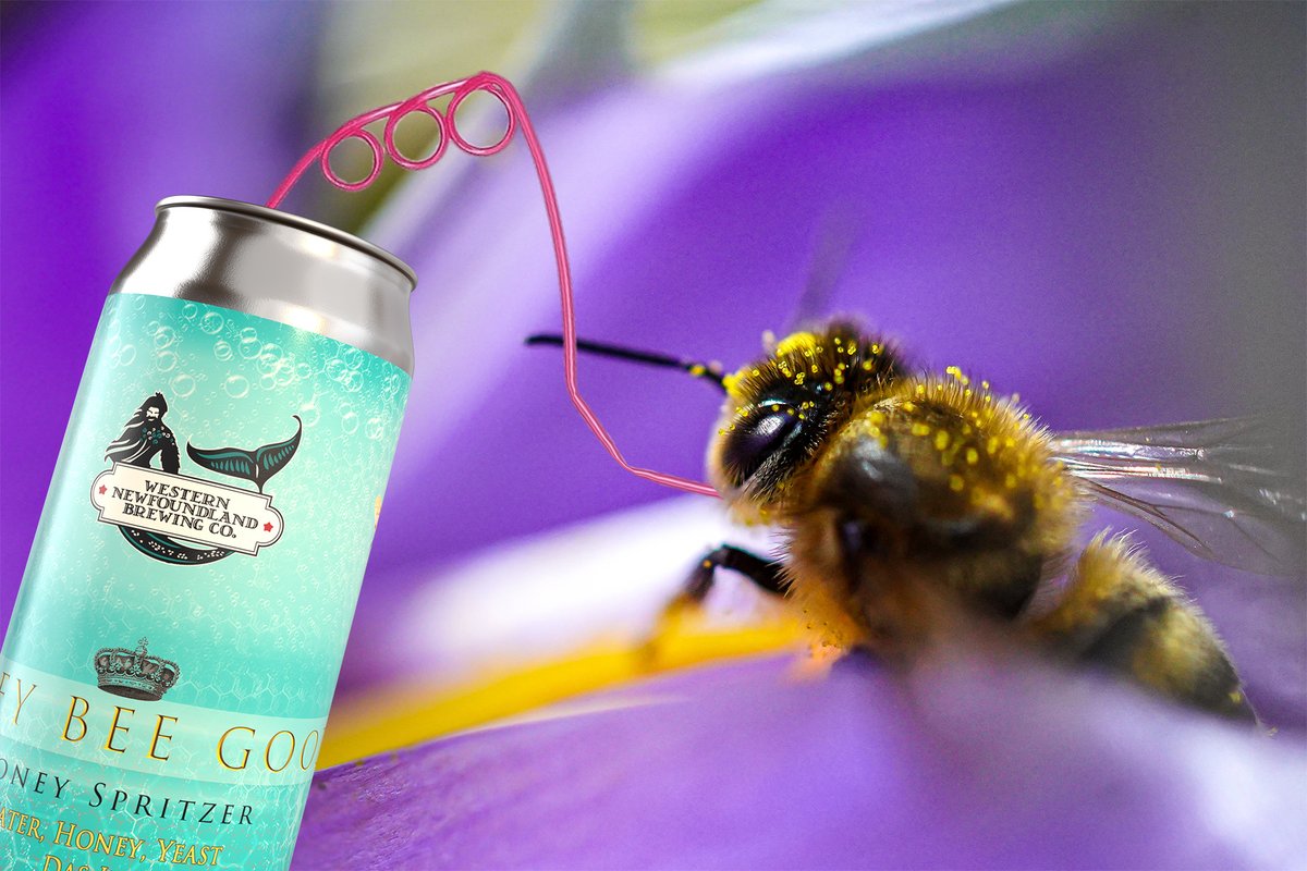 This Bee Gets It.
Find Honey Bee Good at your local NLC today!
SKU: 21729
#wnlbc #nlcraftbeer #mead #honeybees #springflowers #nlliquor