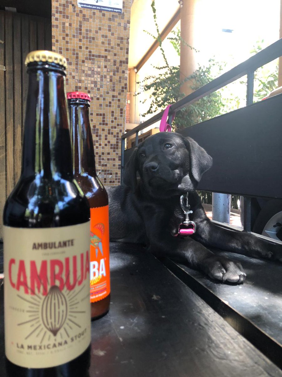 Ya se la saben, se vienen al grillo por sus cheves artesanales!! Acá con nuestra nueva amiga los estamos esperando 
.
.
#Cervezaartesanal #Elmasruidoso #Cerveza #Beer #Gdl #ApoyoLocal #ConsumeLocal  <a href="/tuenchapu/">Tú en Chapu</a>