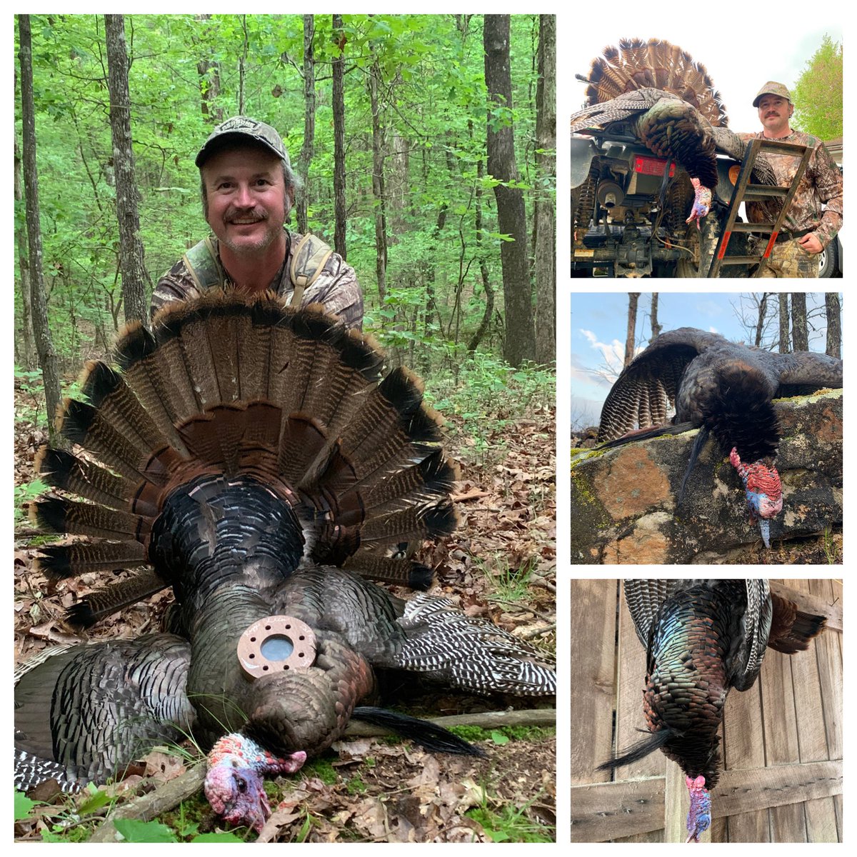 #TaggedOut  in Tennessee. Sure was fun chasing these birds. #CantStopTheFlop #TurkeySeason2020