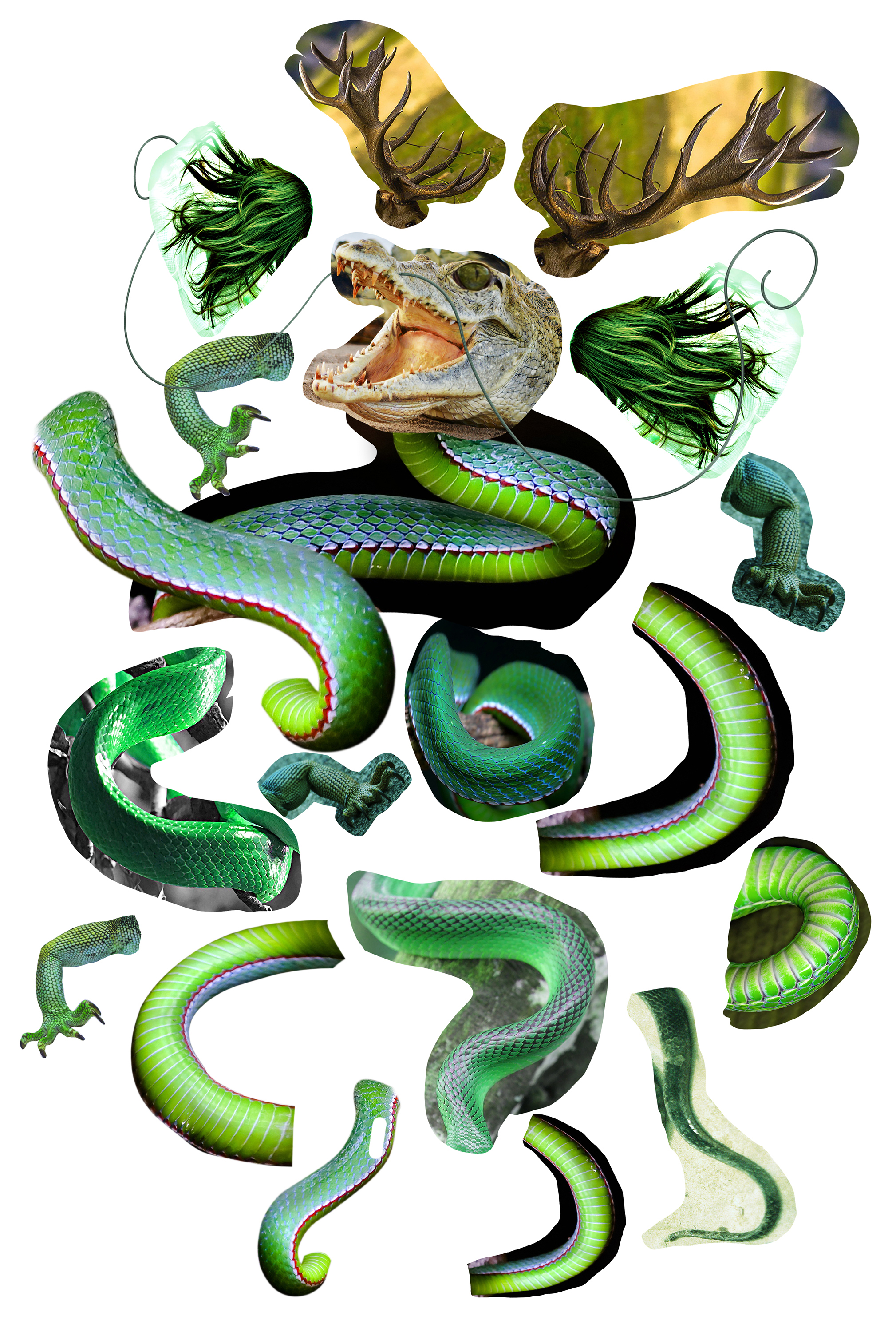 カズシフジイ超ﾃﾞｻﾞｲﾅｰｺﾗｰｼﾞｬｰ 神龍のビジュアルは色々な動物を組み合わせて生成 体は蛇 手はトカゲ 顔はワニ ツノは鹿 毛は人間 絵を描かず 3dcgを使わなくても作れます Photoshop 合成 神龍 ドラゴンボール コラージュ T Co