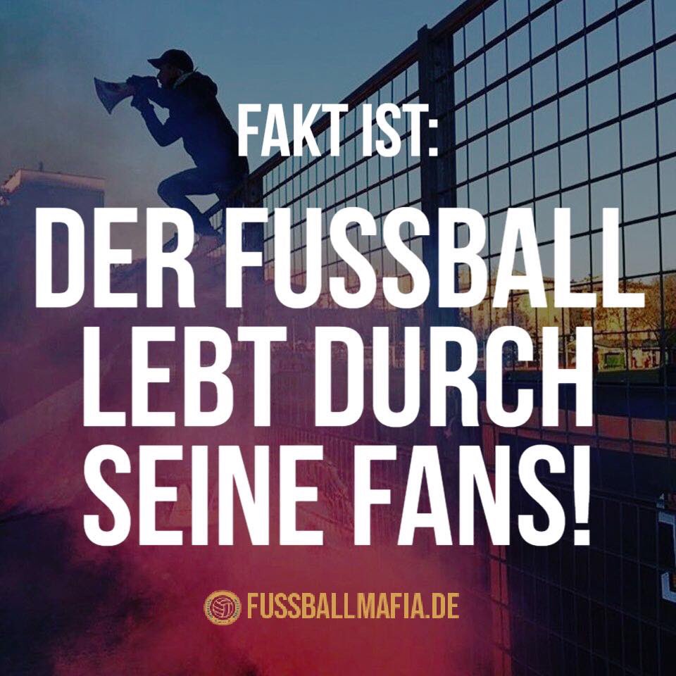 Fussballmafia Dfb Bundesliga Dfl Dfb Tsgbsc Rblscf F95scp Bvbs04 Fcawob