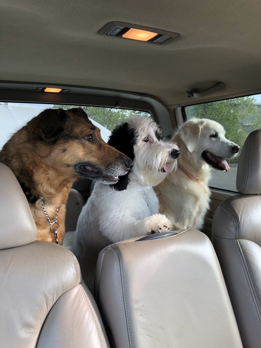 DobbsLaura's tweet photo. @OfficialLivePD https://t.co/ljnCqwElVO