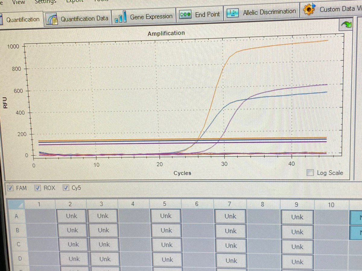jots22's tweet photo. After 8 hours of extraction and preparation of the master mix, we have a successful run for today! Good controls and curves! Thank you to our kind-hearted and beautiful medical technologists for guiding us and for their long patience! We are ready for #MassTestingPH #BeatCOVID19 https://t.co/38UnCPxcEU