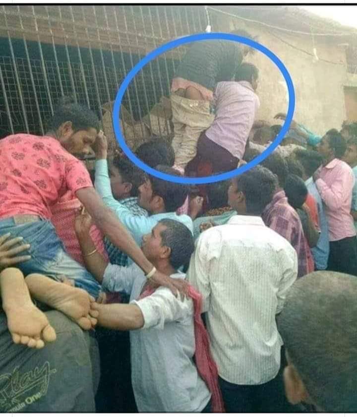 DesperateDuke's tweet image. 